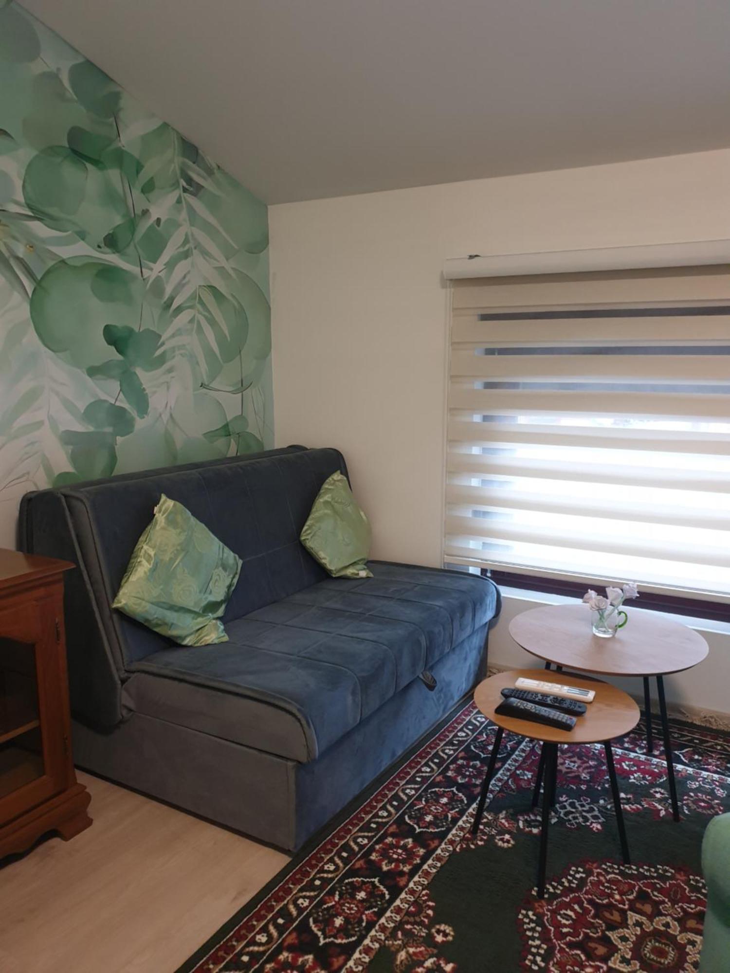 Willow Apartment